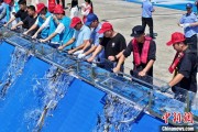事业祝福2025年全国水生生物同步增殖放流活动在福建举行